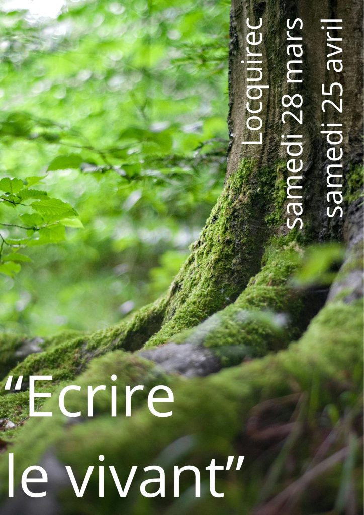 STAGE : Résidence d'écriture 